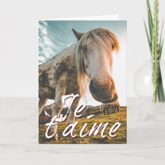Carte Je t'aime avec regardé cheva (Devant)
