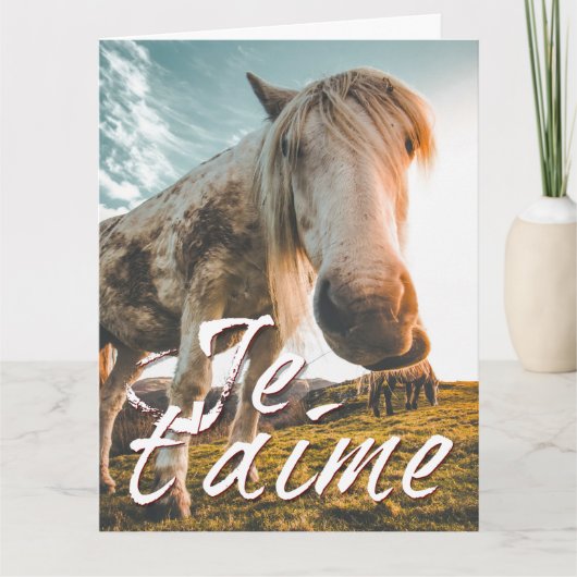 Carte Je t'aime avec un cheval regardé (Devant)