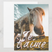 Carte Je t'aime avec un cheval regardé (Devant / Derrière)