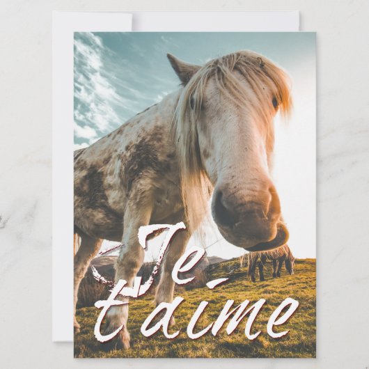 Carte Je t'aime avec un cheval regardé (Devant)