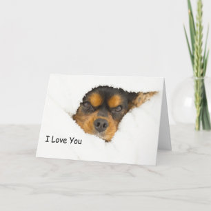 Carte Je t'aime King Charles Spaniel qui regarde dehors