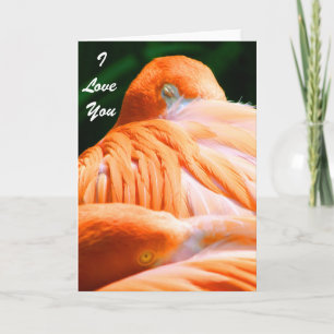Carte Je t'aime / N'importe quelle occasion _Carte