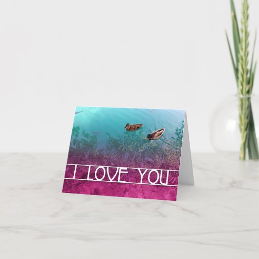 Carte je t'aime : paire de canards (Devant)