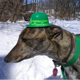 Carte "Je te défie à la course !"