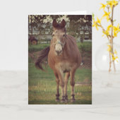 Carte Je te regarde (Fleur jaune)