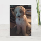 CARTE JE TRAVAILLERAI POUR DES KILOMÈTRES POUR DIRE JOYE (Devant)