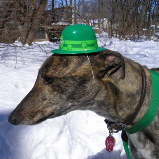 Carte « Je vais vous distancer ! »