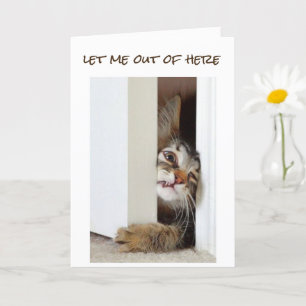 Carte JE VEUX DIRE **HEUREUX 13e ANNIVERSAIRE** ADOLESCE