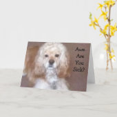 CARTE JE VEUX VOUS LIQUER LE VISAGE PROPRE DES GERMES (Fleur jaune)