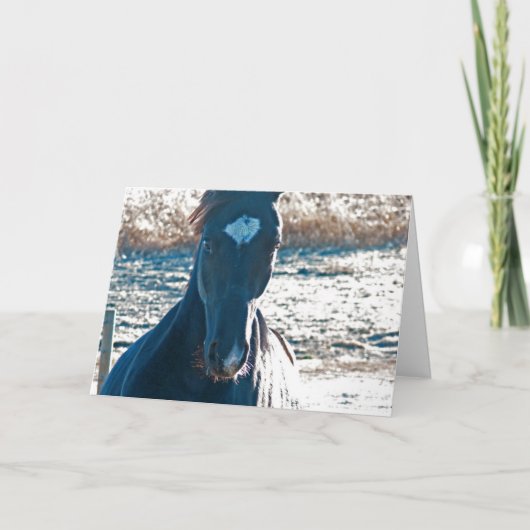 Carte Je viens à Ya (Devant)