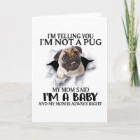 Je vous dis que je ne suis pas un pug je suis un a