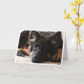 Carte Je vous observe (Fleur jaune)