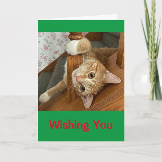 Carte Je Vous Souhaite Meowy Christmas ! (Devant)