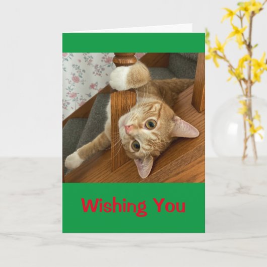 Carte Je Vous Souhaite Meowy Christmas ! (Fleur jaune)