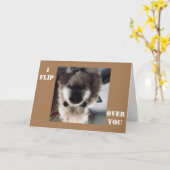 CARTE * JE VOUS SURVOLE* LE MARDI VOUS MONTRE COMBIEN JE (Fleur jaune)