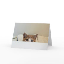 "Je vous vois" - Louie regarde dehors