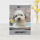 CARTE JEALOUS PUPPY VOUS SOUHAITE "HEUREUX ANNIVERSAIRE" (Fleur jaune)