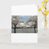 Carte Jefferson Memorial Washington DC Cherry Blossoms (Fleur jaune)