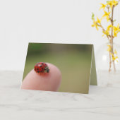 Carte J'entends que tu as attrapé un bourreau (Fleur jaune)