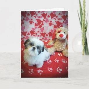 CARTE **J'ESPÈRE QUE TU DIRAS OUI À MA QUESTION** VALENT