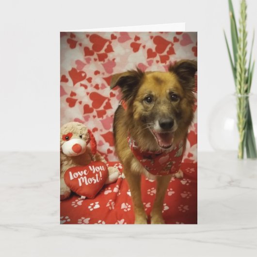 CARTE **J'ESPÈRE QUE TU DIRAS OUI À MA QUESTION** VALENT (Devant)