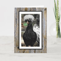 J'espère que votre anniversaire est Oeuf-Cellent,