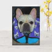 Carte J'Espère Que Votre Anniversaire Est Rendu Heureux  (Fleur jaune)