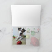 Carte jetée en l'air de Jack Russell Terrier (Intérieur)