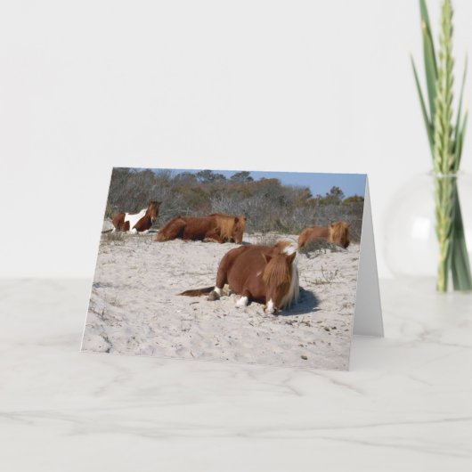 Carte Jeter des ponies sauvages au Parc national Assatea (Devant)