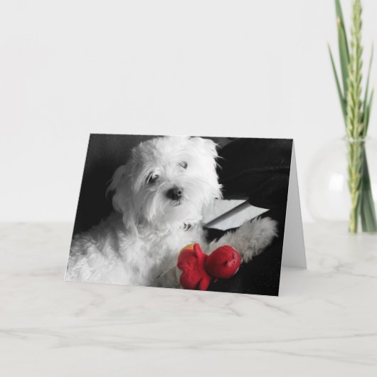 Carte Jeu de chiot (Devant)