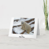 Carte Jeu polaire (Dos)