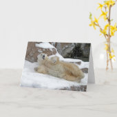 Carte Jeu polaire (Fleur jaune)