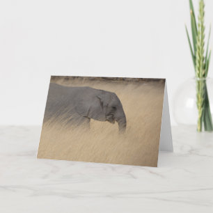 CARTE JEUNE ÉLÉPHANT DANS DE HAUTES HERBES JAUNES