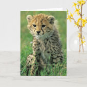 Carte Jeune Guépard Flou (Fleur jaune)