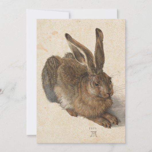 Carte Jeune lièvre | Albrecht Dürer (Devant)