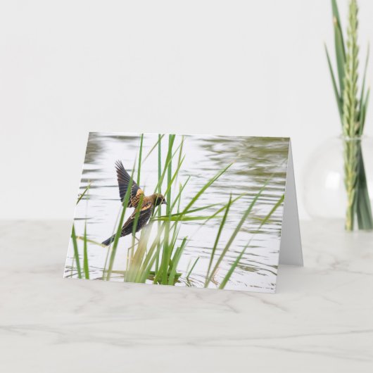 Carte Jeune oiseau en vol (Devant)
