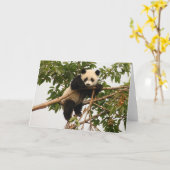 Carte Jeune panda géant (Fleur jaune)