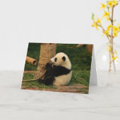 Carte Jeune panda géant. Chengdu, Chine. (Fleur jaune)