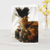 Carte Jeune polonais (Fleur jaune)