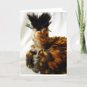 Carte Jeune polonais