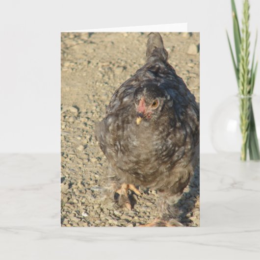 Carte Jeune poulet (Devant)