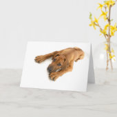Carte Jeune ridgeback (Fleur jaune)