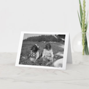 Carte Jeunes filles cueillant des canneberges Photograph