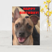 CARTE JEUX ANNIVERSAIRE ! (Fleur jaune)