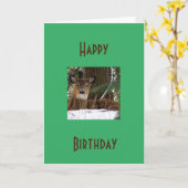 CARTE JEUX ANNIVERSAIRE À MA CHASSE "FAVORITE"* (Fleur jaune)