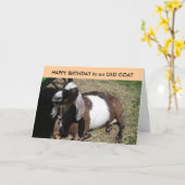 Carte JEUX ANNIVERSAIRE à une vieille chèvre (Fleur jaune)