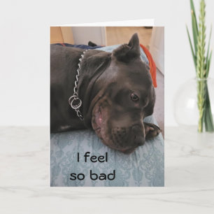 CARTE JEUX ANNIVERSAIRE BATTU - SENS-TU SI COUPABLE