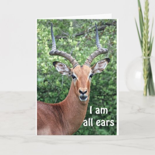 CARTE JEUX ANNIVERSAIRE DE "COMEDIC DEER" (Devant)