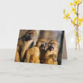 CARTE JEUX ANNIVERSAIRE DES TROIS 3 DE NOUS MONKEY CARD (Fleur jaune)