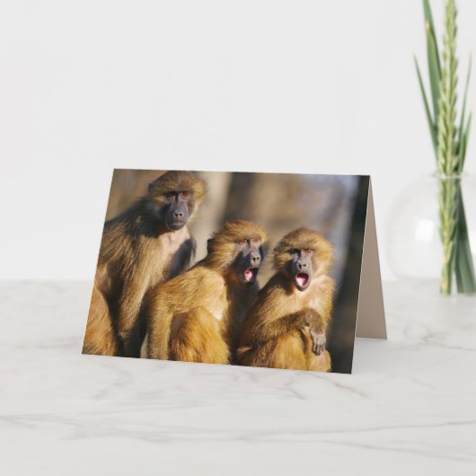 CARTE JEUX ANNIVERSAIRE DES TROIS 3 DE NOUS MONKEY CARD (Devant)